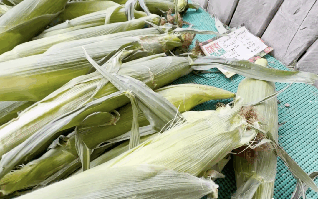 Proposed NJ bill looks to connect schools with locally grown food